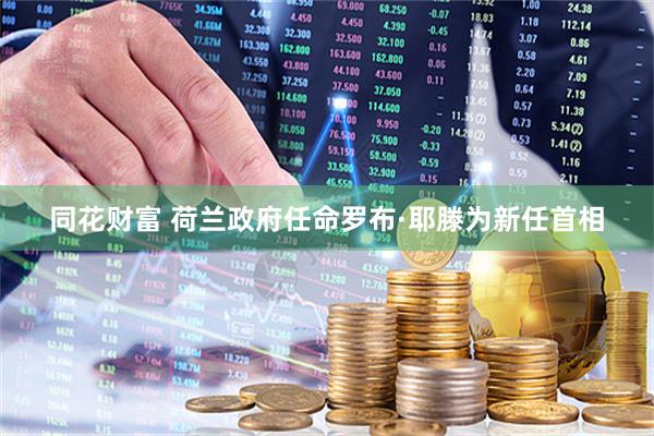 同花财富 荷兰政府任命罗布·耶滕为新任首相