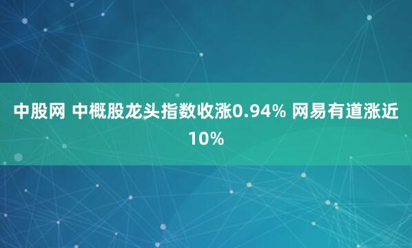 中股网 中概股龙头指数收涨0.94% 网易有道涨近10%