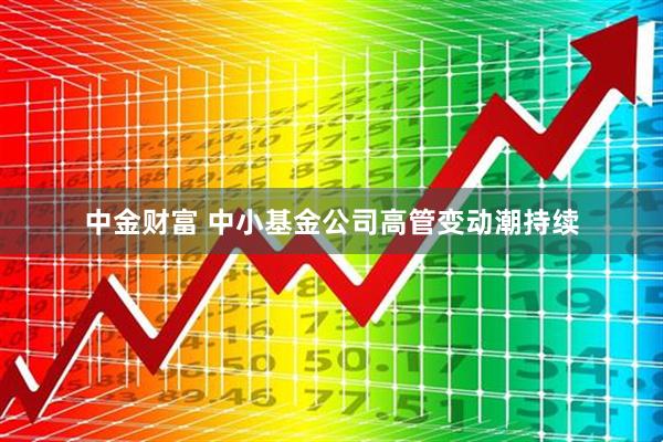 中金财富 中小基金公司高管变动潮持续