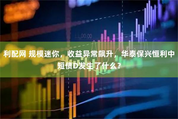 利配网 规模迷你，收益异常飙升，华泰保兴恒利中短债D发生了什么？