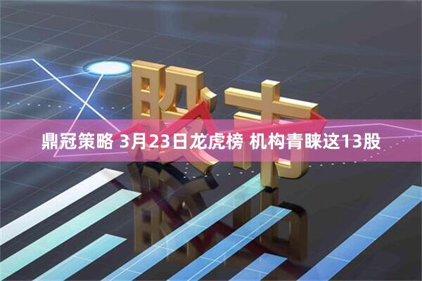 鼎冠策略 3月23日龙虎榜 机构青睐这13股