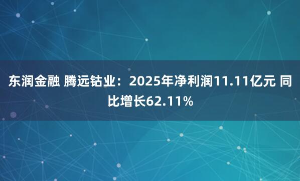 东润金融 腾远钴业：2025年净利润11.11亿元 同比增长62.11%