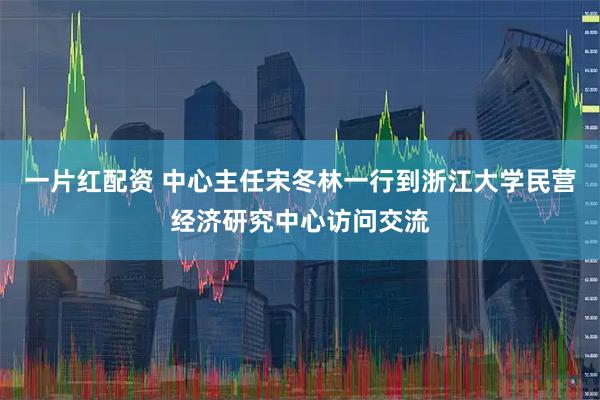 一片红配资 中心主任宋冬林一行到浙江大学民营经济研究中心访问交流
