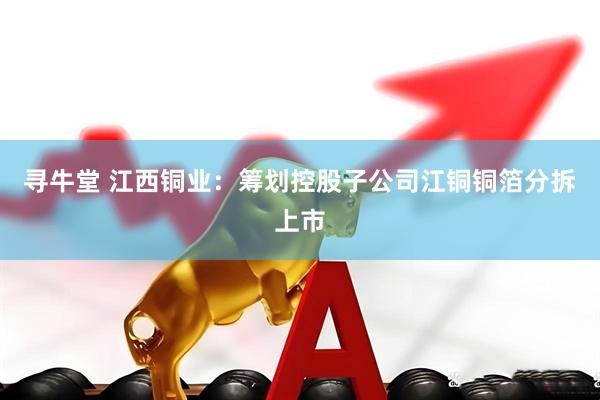 寻牛堂 江西铜业：筹划控股子公司江铜铜箔分拆上市