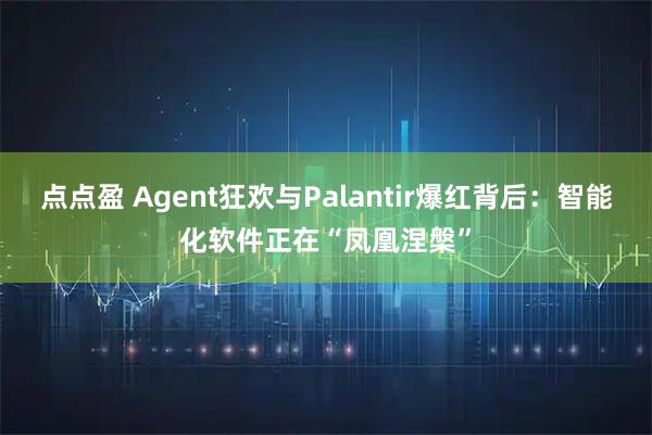 点点盈 Agent狂欢与Palantir爆红背后：智能化软件正在“凤凰涅槃”