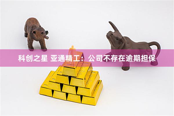 科创之星 亚通精工：公司不存在逾期担保