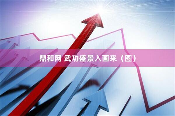 鼎和网 武功盛景入画来（图）