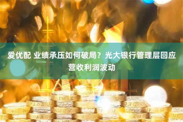 爱优配 业绩承压如何破局？光大银行管理层回应营收利润波动