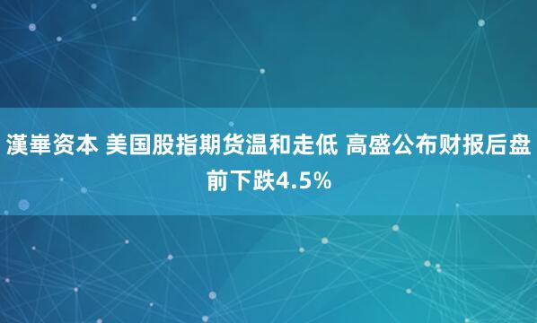 漢崋资本 美国股指期货温和走低 高盛公布财报后盘前下跌4.5%