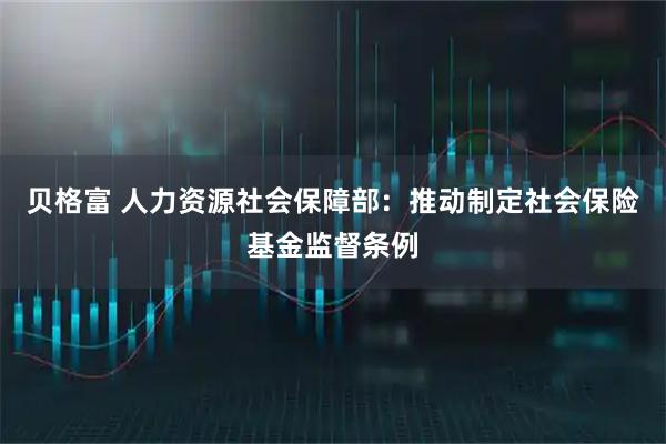 贝格富 人力资源社会保障部：推动制定社会保险基金监督条例