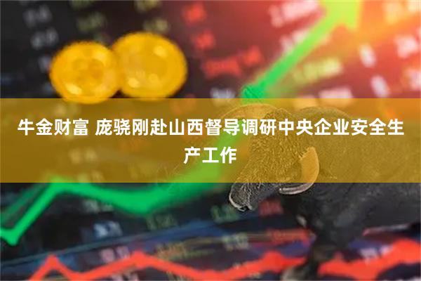 牛金财富 庞骁刚赴山西督导调研中央企业安全生产工作
