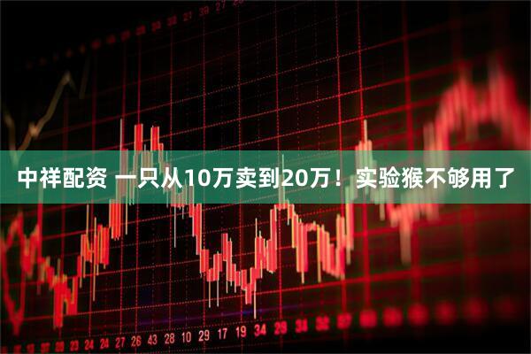 中祥配资 一只从10万卖到20万！实验猴不够用了